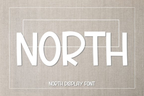 North Font Review: A Bold Display Choice for Designers