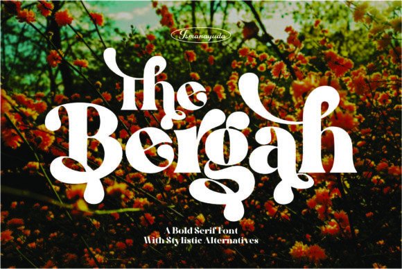 The Bergah Font Review